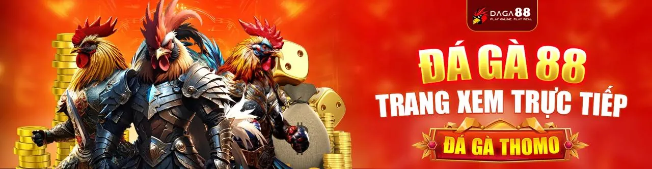 Đá gà trực tuyến VN188 chính thức
